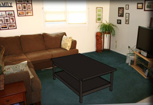 Sketchup overlay